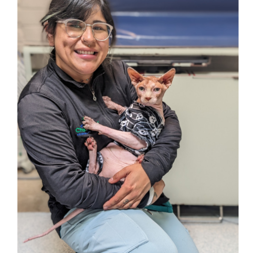 Our Family Meet Our Veterinary Care Team